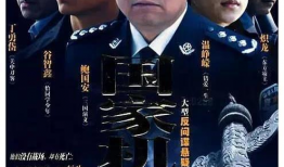 反特谍战电视剧大全,揭秘反特谍战电视剧风云录