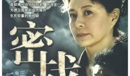 反特谍战电视剧大全,揭秘反特谍战电视剧风云录