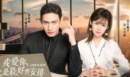 女总裁的电视剧